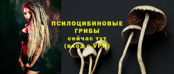 2c-b Алексеевка