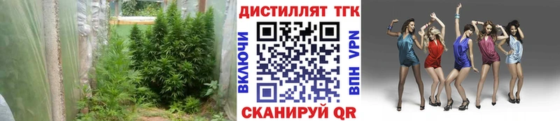 Дистиллят ТГК жижа дарк нет официальный сайт Островной